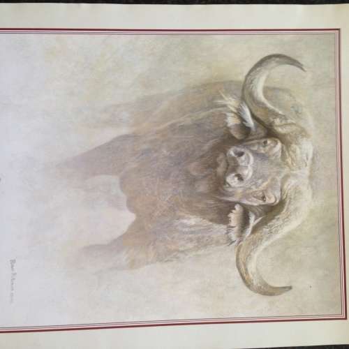 Robert Bateman calendar print, titled ` African Buffalo`
